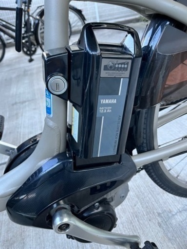PAS with 26型