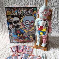 恐怖！ドキドキクラッシュ 人体模型●欠品あり