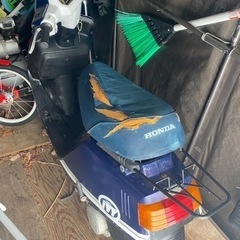 タクト