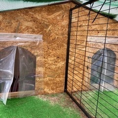 【0円】犬小屋　DIY