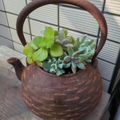 錆びた鉄瓶と多肉