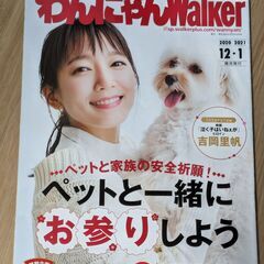 吉岡里帆　パンフレット