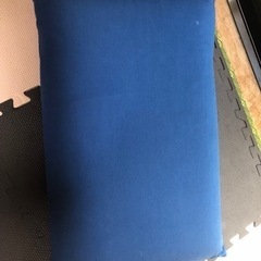 【終了です受け渡し決定しました】低反発枕カバー付中古の画像