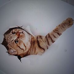  3D 漫画猫ウォールステッカー、剥がして貼るウォールステッカー...