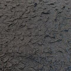 グリーン ラグ 140×200の画像