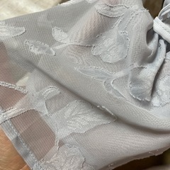 マジェスティックレゴンの画像