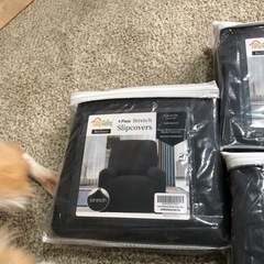 ストレッチソファカバー・stretched sofa cover