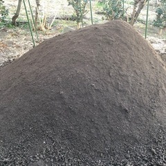 牛糞ー完熟ー2