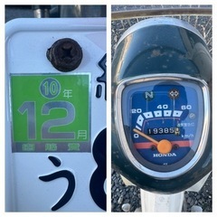 ホンダ　シャコタンカブ　自賠責R10年12月の画像