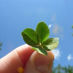 人をサポートするお仕事に興味ありませんか？🍀コミュニティメンバー...