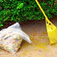 ⭐障がい者の方限定⭐施設外作業の画像