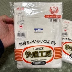GUNZE3点セットの画像