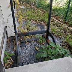 定価一万円の懸垂器具、無料であげます！の画像