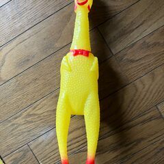 びっくりチキン　叫ぶ鶏！