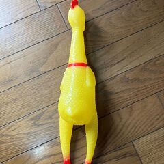 びっくりチキン　叫ぶ鶏！の画像