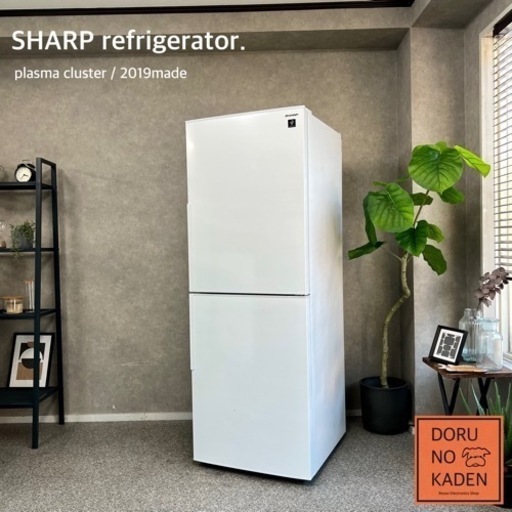 ☑︎ご成約済み SHARP 大きな2ドア冷蔵庫 2019年製✨ 超美品 二人暮らしにも