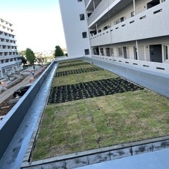 造園土木（未経験者大歓迎）有給制度、賞与ありの画像