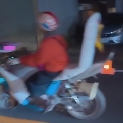 ゼルビス250 VT250FNの画像