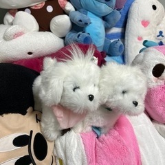 特大ぬいぐるみ おもちゃあげます！