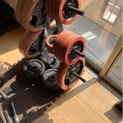 IROTEC (アイロテック) マスキュラーセットR140の画像