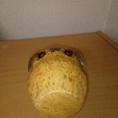 置き物1の画像