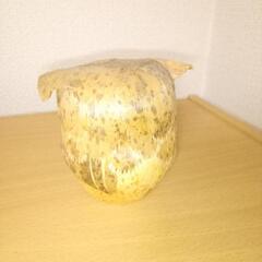 置き物1の画像