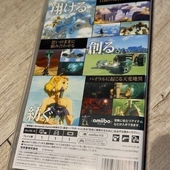 ゼルダの伝説　ティアーズオブザキングダムの画像