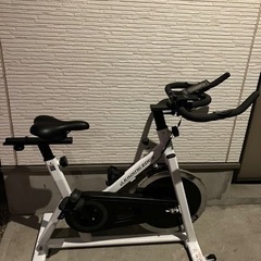 【引き取り限定】アルインコ ALINCO リーディングエッジ  ...