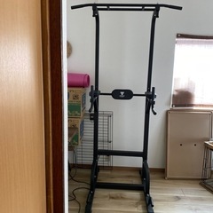 STEADY 懸垂　ぶら下がり健康器