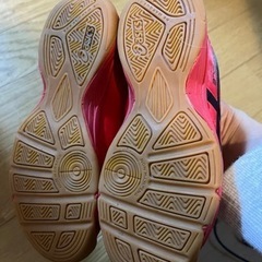フットサルジュース　19㎝の画像