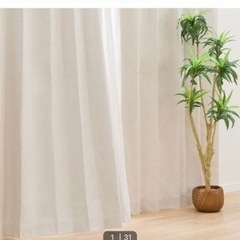 【1月31日まで】ニトリカーテン2枚セット　幅100cm✖️丈2...