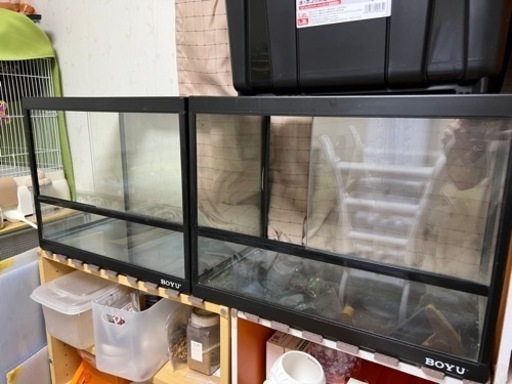 恵*)様 爬虫類ケージ 中古 60サイズ Amazon | トップテラ 爬虫類飼育ケージ TOP-60×30×36 | トップ