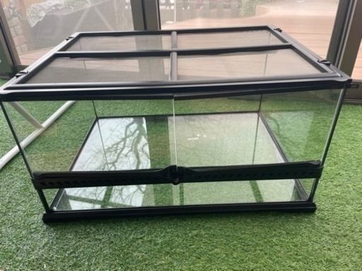 グラステラリウム　6030 ケージ　爬虫類　エキゾテラ