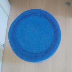 　ストレッチポール　決まりました。の画像