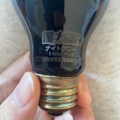 爬虫類飼育機の画像