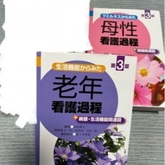 母性　老年　看護過程　第3版