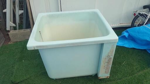 完売ありがとう『春だ❗水だめだ❗』家庭菜園用の風呂オケ 風呂桶