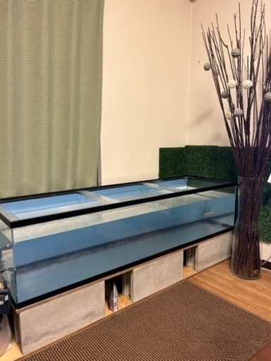 本日限定値下げアクリル大型水槽