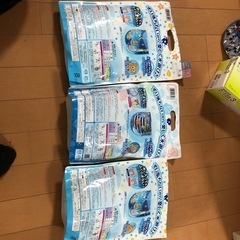 受渡者決定　水遊びパンツセットの画像