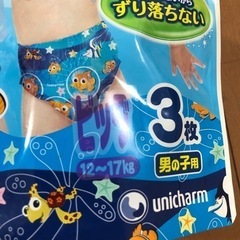 受渡者決定　水遊びパンツセットの画像