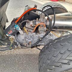 ジャイロの画像