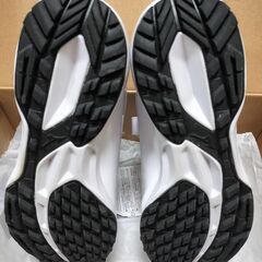 トレーニングシューズ ミズノの画像