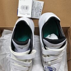 トレーニングシューズ ミズノの画像