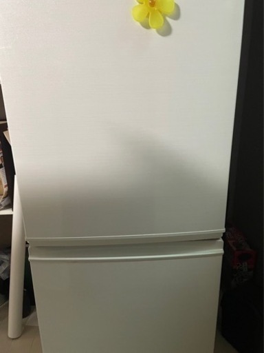 冷蔵庫買いませんか！？