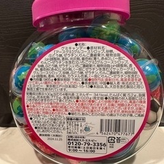 アースグミの画像
