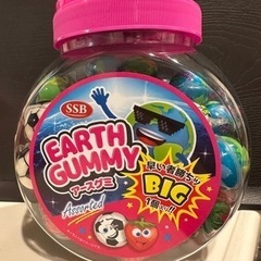 アースグミ