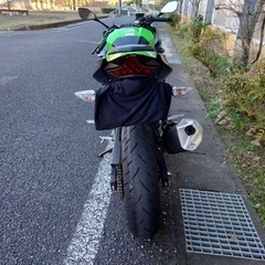 Kawasaki ニンジャ400の画像