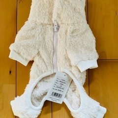 マンダリンブラザーズ　小型犬　モコモコ　ペットの画像