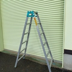 中古　脚立　169センチ