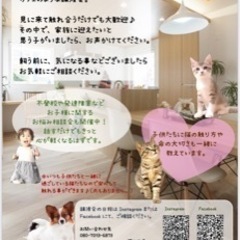 もふもふの会